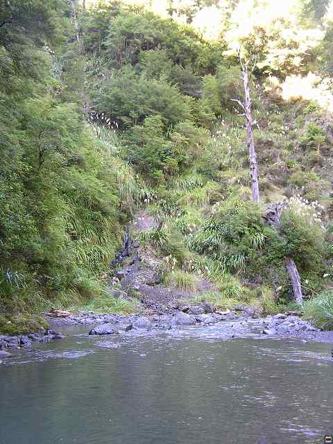 NZ leden-unor 2006 231.jpg
